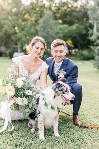 bride and groom with dog portraits