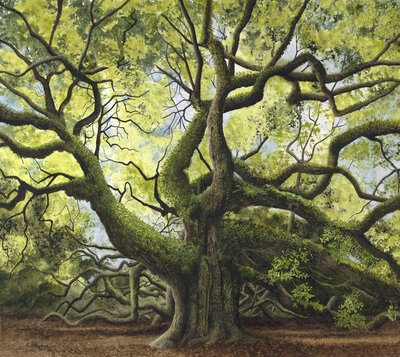 Angel Tree, by Alan Shuptrine, talented Chattanooga watercolor artist