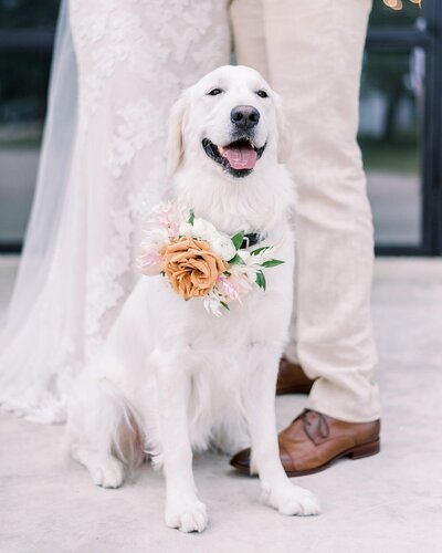 austin-texas-wedding-photographer-17