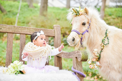 amalia-unicorn-pony-mini-session-lynnet-perez-photography-dallas-photographer-0009