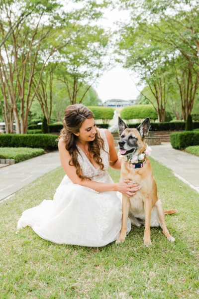 Bride squatting down to look at her dog with flower collar