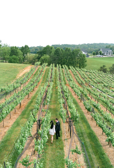 A couple walks casually through a vineyard in North Georgia.