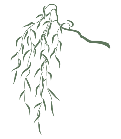 willow branch graphic