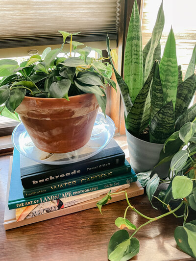 houseplants on top of stack of books