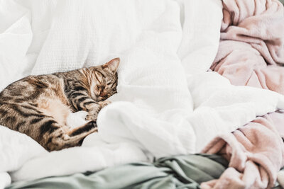 haute-stock-photography-serene-bedroom-collection-final-13