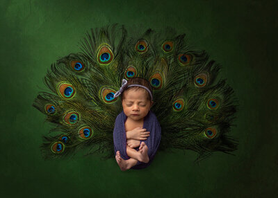 newborn laying on peacock feathers