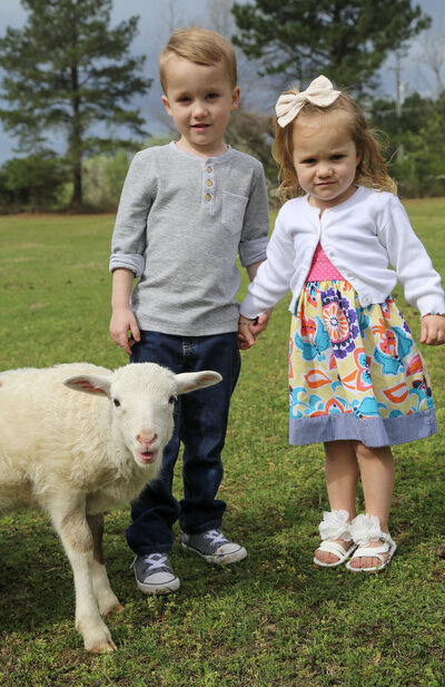 littles and lamb