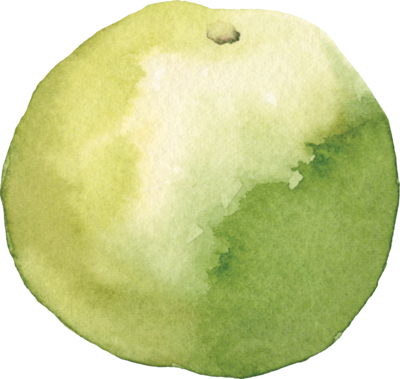 Large green watercolor lime