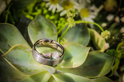 Wedding ring in succulent. Photo by Ross Photography, Trinidad, W.I..