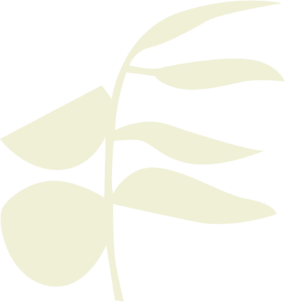 Transparent background with a rounded folk art style branch in light green with a bud