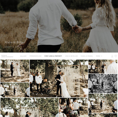 webbgalleri från bröllop för brudpar av linnsej photography