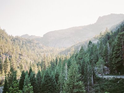 Lake Tahoe evergreens sunlight travel print photo