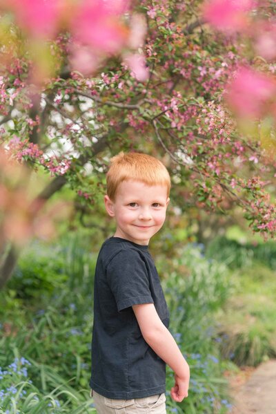 Little boy with red hair wearing a black shirt under a tree with pink blossoms