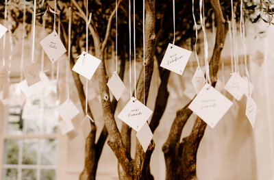 Calligraphy escort cards hanging from a tree for wedding at Lambert's Cove Inn in Martha's Vineyard