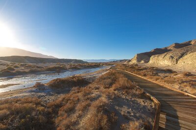 a photo of a river and pathway through Death Valley National Park, taken by Teresa Johnson Photography.