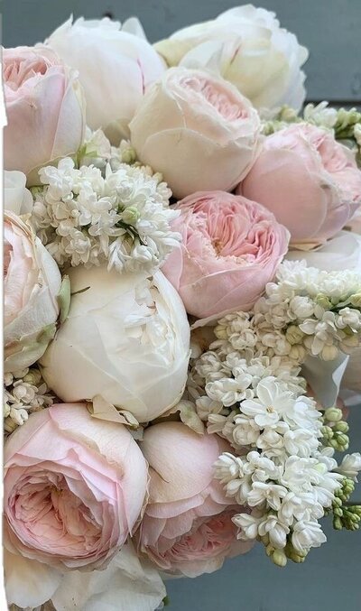 9CEC3AA4-363A-422C-9DF6-29A8B89C3678