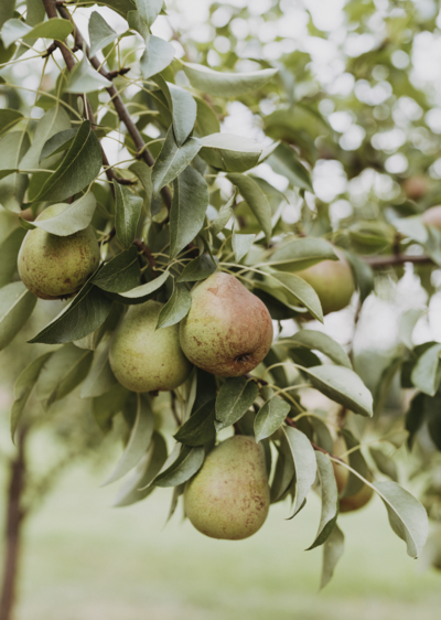 Image of various empowering black women