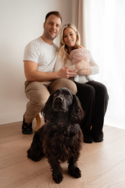 Newborn Baby Photography with Dog Photoshoot