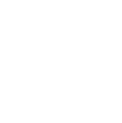 boho_face_4white