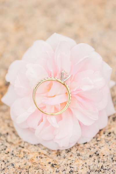 beautiful gold diamond ring laying on a soft pink flower at an engagement session at maymont in richmond virginia