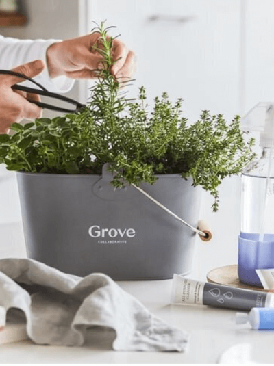 As a Grove Collaboration ambassador, Jane Shine focuses on non-toxic home and cleaning products