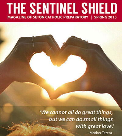 Covers_Sentinel Shield