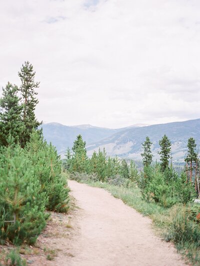 trail in Breckenridge Colorado print photo