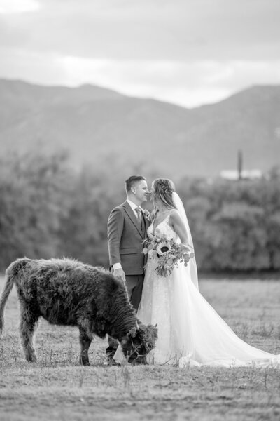 couple with a mountain backdrop and a cow