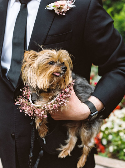 Jesse+JessicaSanFranciscoFloodMansionWedding|CassieValentePhotography0489