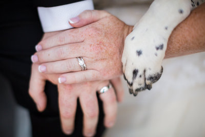 Bride and Groom showing off new rings and dog paw