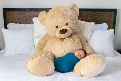 A newborn baby boy wrapped up and snuggled up on a giant teddy bear in Woodbridge, Virginia.