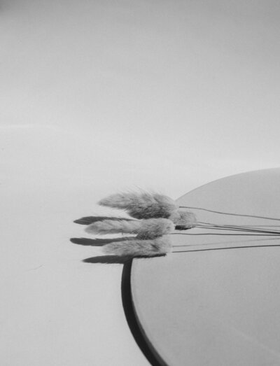 mathilde-langevin-3HTc_yxbPnA-unsplash