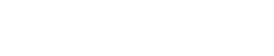 WealthInsider Logo
