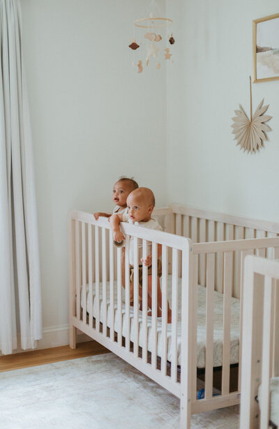 Boston family photographer