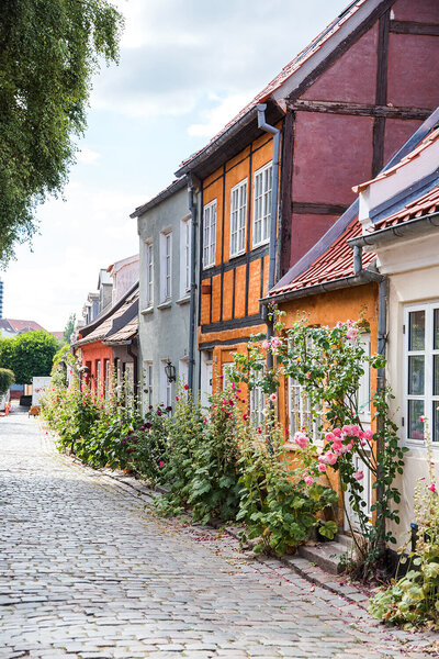 Houses on Mollestien in Aarhus