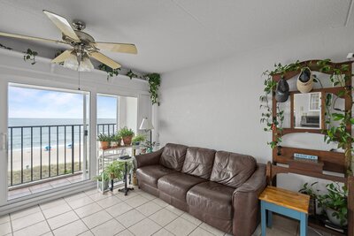 Cozy living room with brown leather couch, indoor plants, and floor to ceiling windows overlooking the ocean