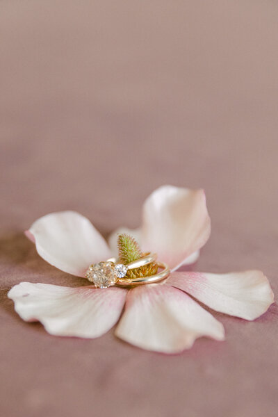 a single flower with wedding  rings in the center on a mauve matte