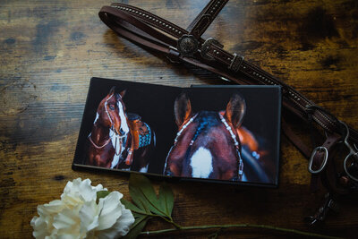 Photograph of a black leather album with fine art photographs of a paint horse stallion on a wooden desk with a western bridle and a white flower.