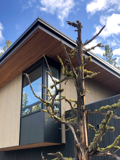 Modern home exterior with cedar and shou sugi ban siding