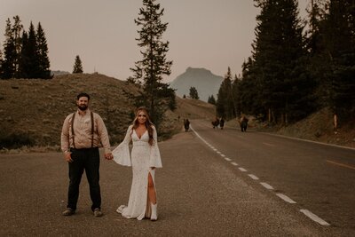 Wedding portrait in Yellowstone National Park with bison in the background