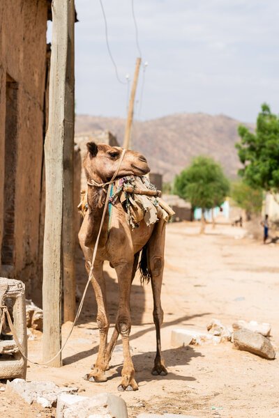 ethiopia9