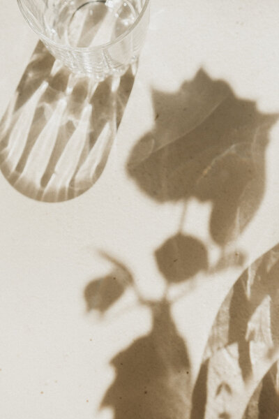 KM-Still-LIfe-9101