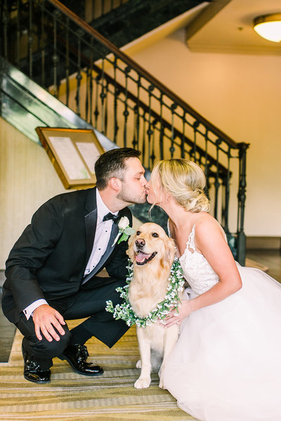 clink-events-greenville-wedding-planner-westin-dog-wedding