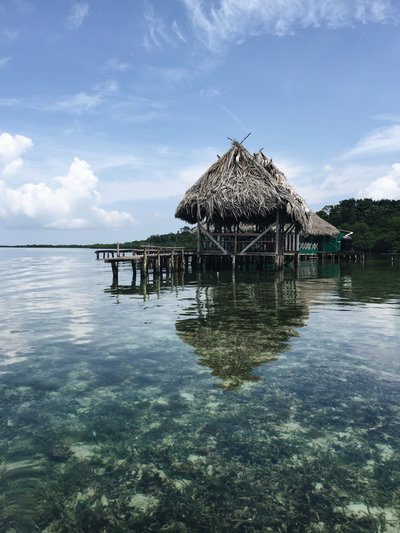 pablo-garcia-saldana-PO8hhUKuegI-unsplash
