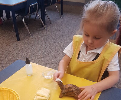 Student playing with turtle in Burnaby Montessori School