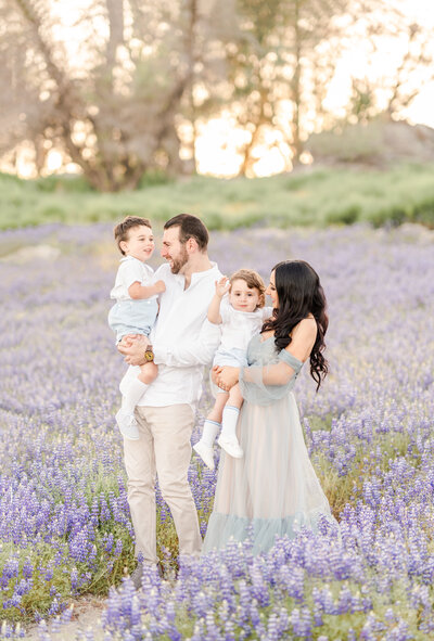 A family photography session by Bay area photographer shows a father and mother holding and smiling at their children in a flower field of lupines.