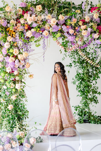 South Asian Wedding Gallery Kansas Sneak Peeks-30