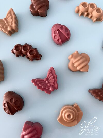 solid chocolate molded insects  butterfly, caterpillar, snail, ladybug