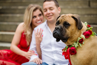 Engaged Couple with their Dog in Philadelphia