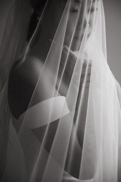 Bridal portrait under veil